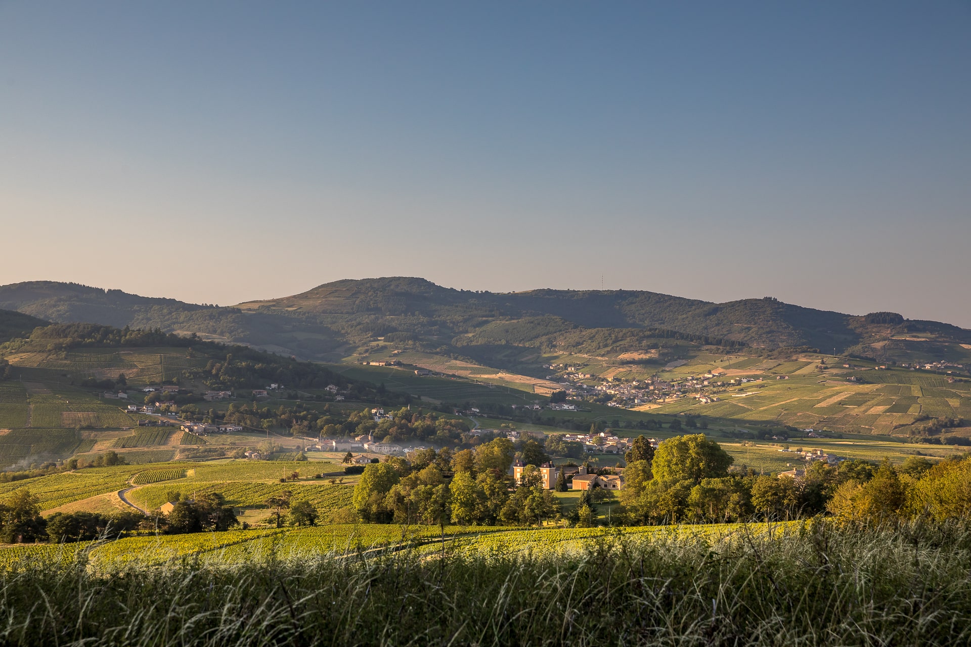Bienvenue en Beaujonomie 2025